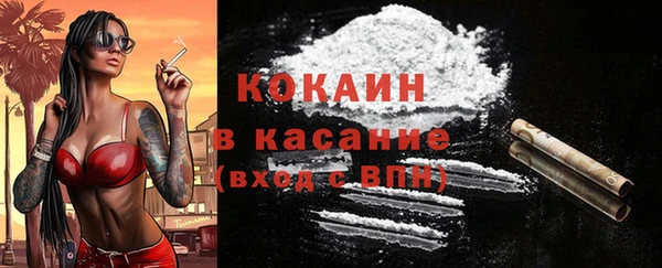 прущие грибы Баксан