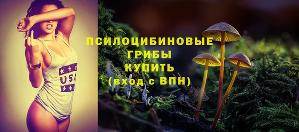 a pvp Аркадак
