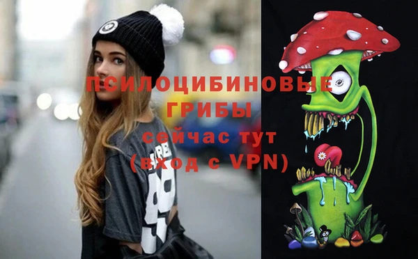 мет Арсеньев