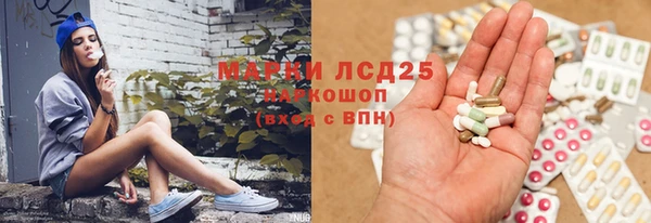 a pvp Аркадак